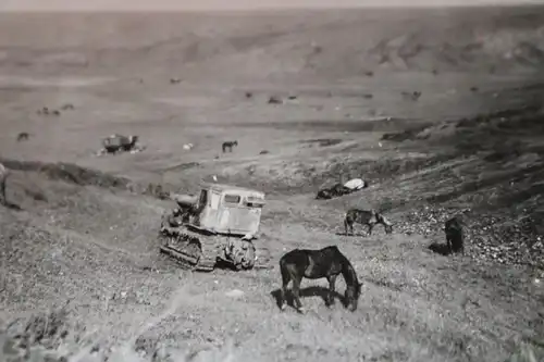 tolles altes Foto - Raupenschlepper ?? Wehrmacht ?? Pferde - Landschaft