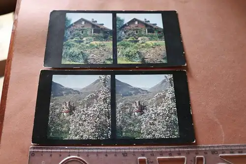 zwei tolle alte Chromoplast Bilder - Schloss Brunneburg u Garten-Blockhaus 