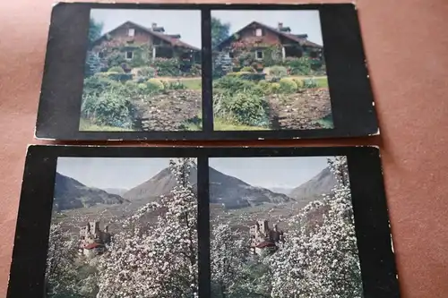 zwei tolle alte Chromoplast Bilder - Schloss Brunneburg u Garten-Blockhaus 