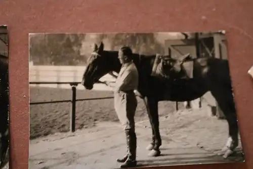zwei tolle alte Fotos - Frau und Mann mit Pferd 