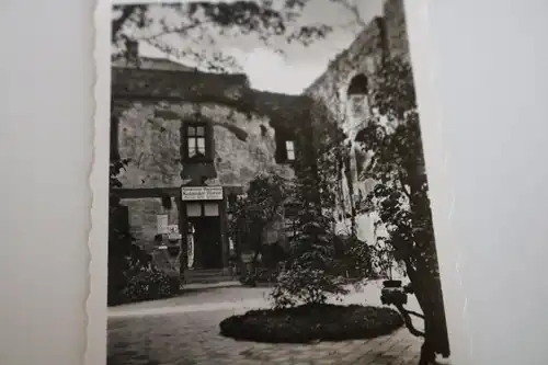 tolles altes Foto - Gebäude - Pension - Klosterruine Marienburg