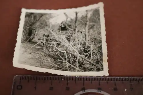 tolles altes Foto - Getarnter Panzer SdKfz 