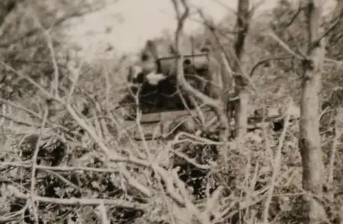 tolles altes Foto - Getarnter Panzer SdKfz