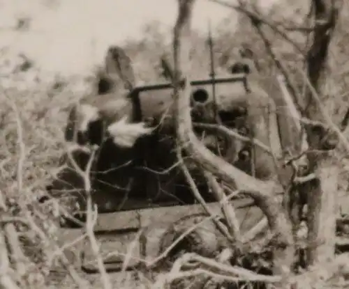 tolles altes Foto - Getarnter Panzer SdKfz