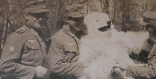 tolles altes Foto - Gruppe Gebirgsjäger und Person im Eisbär-Kostüm 40er Jahre ?
