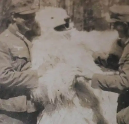 tolles altes Foto - Gruppe Gebirgsjäger und Person im Eisbär-Kostüm 40er Jahre ?