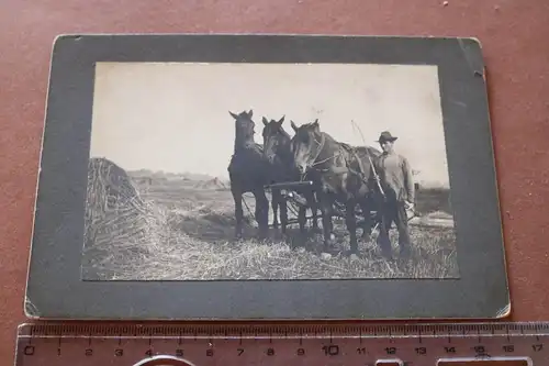 tolles altes Foto  Landwirt mit Dreier-Pferdegespann am arbeiten - 1910-20 ?