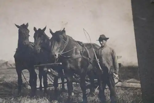 tolles altes Foto  Landwirt mit Dreier-Pferdegespann am arbeiten - 1910-20 ?