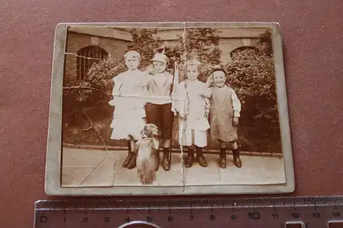 tolles altes Foto auf Pappe geklebt - Gruppe Kinder und Hund macht Männchen 1905