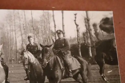 tolles altes Foto - Soldaten auf Pferde - Kavallerie ?? Repro !!!!!