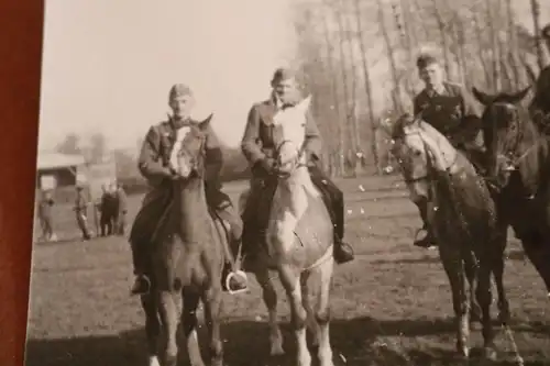 tolles altes Foto - Soldaten auf Pferde - Kavallerie ?? Repro !!!!!