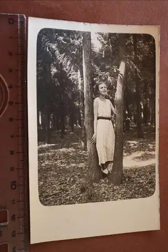 tolles altes Foto - hübsche Frau zwischen zwei Bäumen - 1910-20 ??
