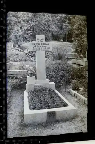 altes Glasnegativ - Grab einer Frau in Königsfeld in Ungarn 1950