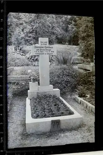 altes Glasnegativ - Grab einer Frau in Königsfeld in Ungarn 1950 