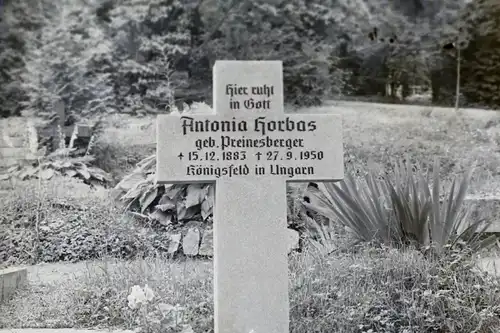 altes Glasnegativ - Grab einer Frau in Königsfeld in Ungarn 1950