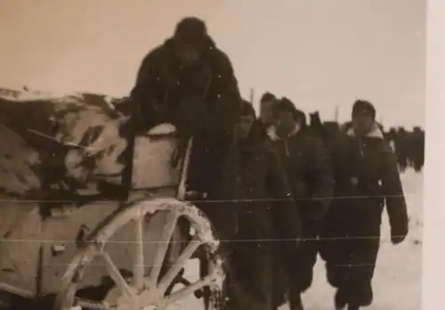 sieben alte Fotos eines Soldaten - Russland ??? Pferdetreck - Schlitten Soldaten