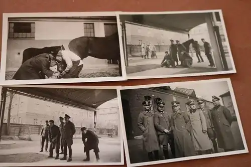 sieben alte Fotos eines Soldaten Offiziere - Pferdebeschauung ?? 