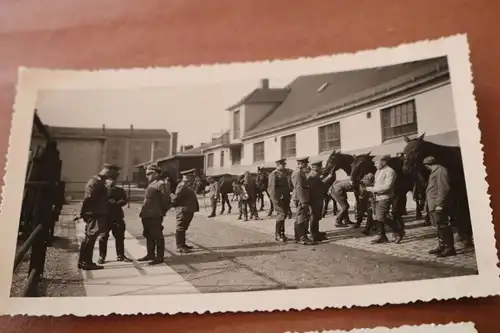 sieben alte Fotos eines Soldaten Offiziere - Pferdebeschauung ??