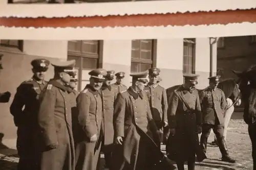 sieben alte Fotos eines Soldaten Offiziere - Pferdebeschauung ?? 