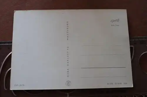 tolle alte Karte - Hund - Collie 