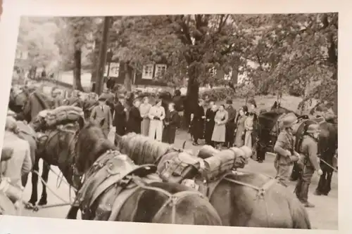 drei alte Fotos - zerstörter Panzer , französische Grenze, deutsche Soldaten