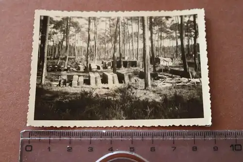 altes Foto Muntionsdepot mitten im Wald 