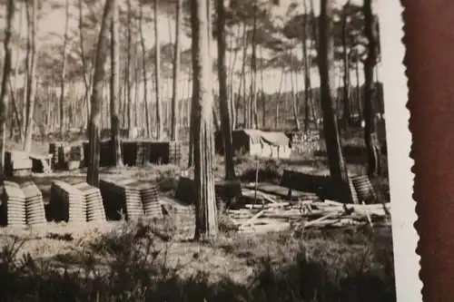 altes Foto Muntionsdepot mitten im Wald