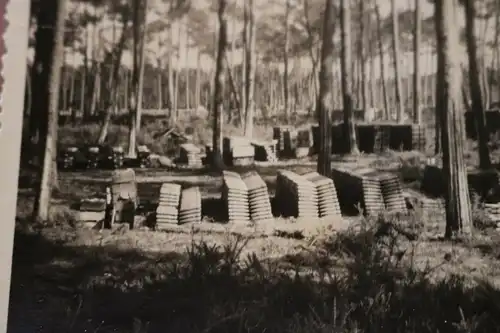 altes Foto Muntionsdepot mitten im Wald