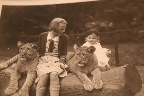 zwei tolle alte Fotos - Kinder mit Löwenbabys , Ort ??? 20-30er Jahre