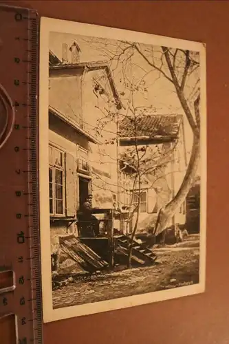 tolle alte Karte - Mitau  Hofidyll 