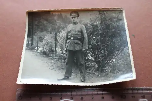 tolles altes Foto - Portrait eines Soldaten Beamter ? unb. Kragenspiegel ??