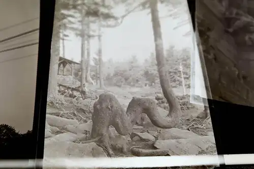 13 tolle alte Negative - Harz , Werningerode usw.   30er Jahre 
