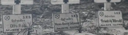 altes Foto - Soldatenfriedhof - Luftwaffe  3. KG ??  Ort ?? Palmen ??