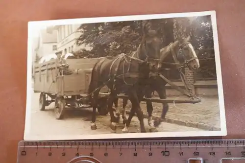 tolles altes Foto - Pferdefuhrwerk - Pferde 1930-40 ??