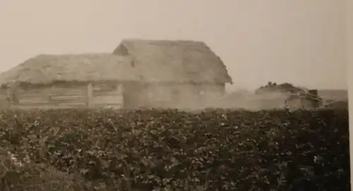 altes Foto - Sturmgeschütz  in Russland ?? (1)