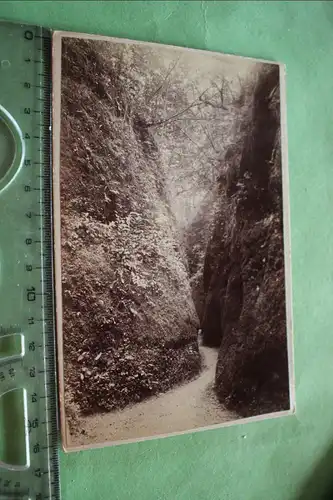 tolles altes Kabinettfoto - Eisenach Drachenschlucht - August 1900