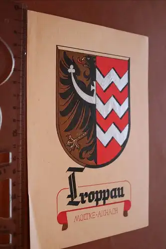 tolles altes gemaltes Wappen von Troppau - Kunstmaler Fr. Leop. Moltke 