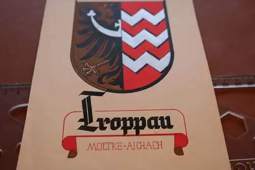 tolles altes gemaltes Wappen von Troppau - Kunstmaler Fr. Leop. Moltke