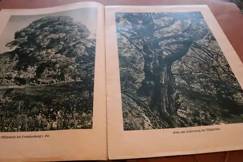 alte Zeitschrift - Bild- u. Werbebericht 1936  LV Sächsischer Heimatschutz 