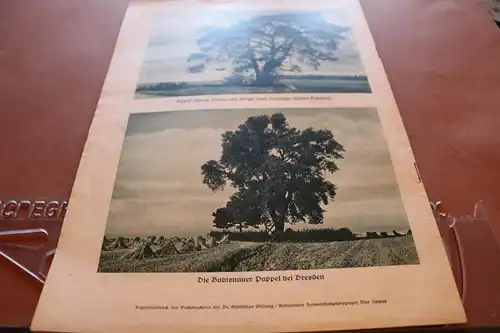 alte Zeitschrift - Bild- u. Werbebericht 1936  LV Sächsischer Heimatschutz 