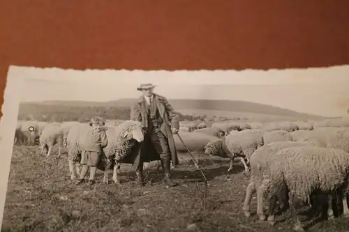 tolles altes Foto - Schäfer mit seinen Schafen