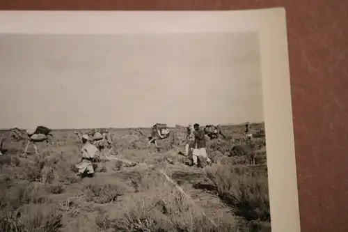 tolles altes Foto - Einheimische Träger mit Kamele  -  Afrika ?? DAK ?