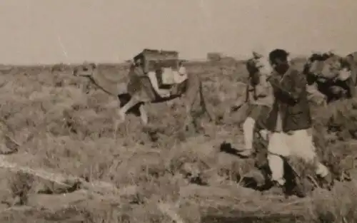 tolles altes Foto - Einheimische Träger mit Kamele  -  Afrika ?? DAK ?