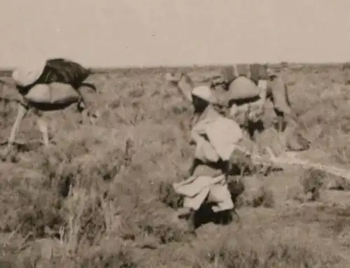 tolles altes Foto - Einheimische Träger mit Kamele  -  Afrika ?? DAK ?