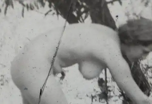 zwei alte Glasnegative - hübsche Frau Aktbilder - nude - nackt - 20-30er Jahre