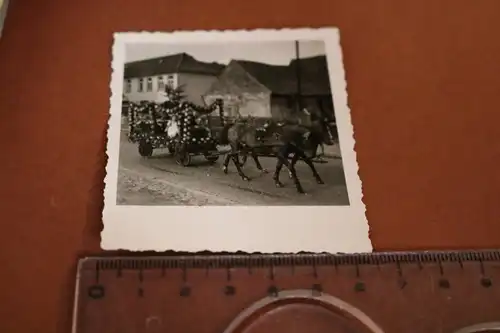 tolles altes Foto - Geschmückter Pferdewagen - Verden ?  - 30-50er Jahre ?