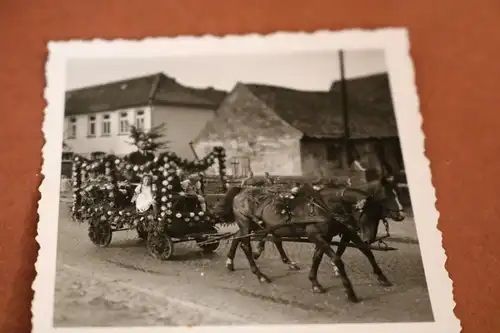 tolles altes Foto - Geschmückter Pferdewagen - Verden ?  - 30-50er Jahre ?