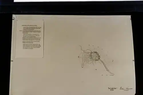 elf alte große Negative Berlin Köpenik - Studien ??  60-80er Jahre ?
