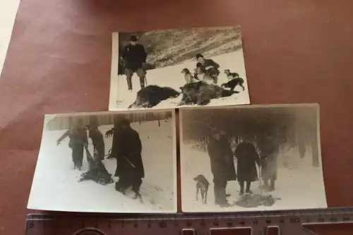 drei alte Fotos - Jäger mit erlegten Wildschweinen  50er Jahre ??