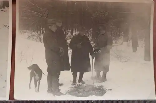 drei alte Fotos - Jäger mit erlegten Wildschweinen  50er Jahre ??